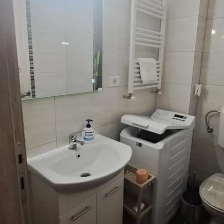 Brown - Elegant Bucharest