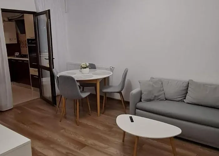 Brown - Elegant Bucharest